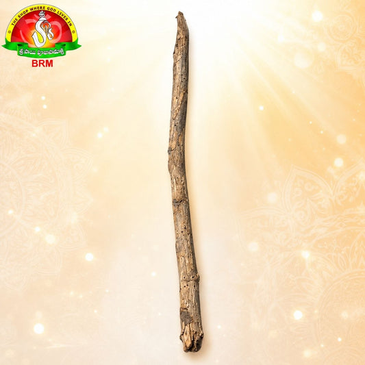 Moduga Karra (Butea Monosperma Wood) – 1 Piece | Sacred Homam & Yajna Pooja Wood