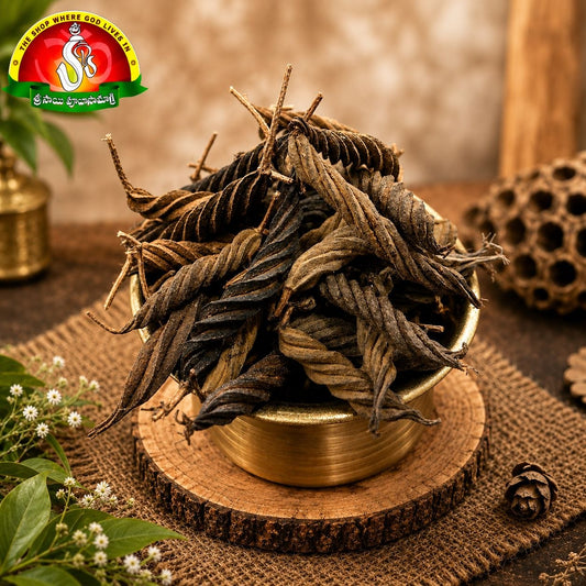 Edamuri & Balamuri Conch Shells | Traditional Pooja Shankh Set | Set of 10 Pieces