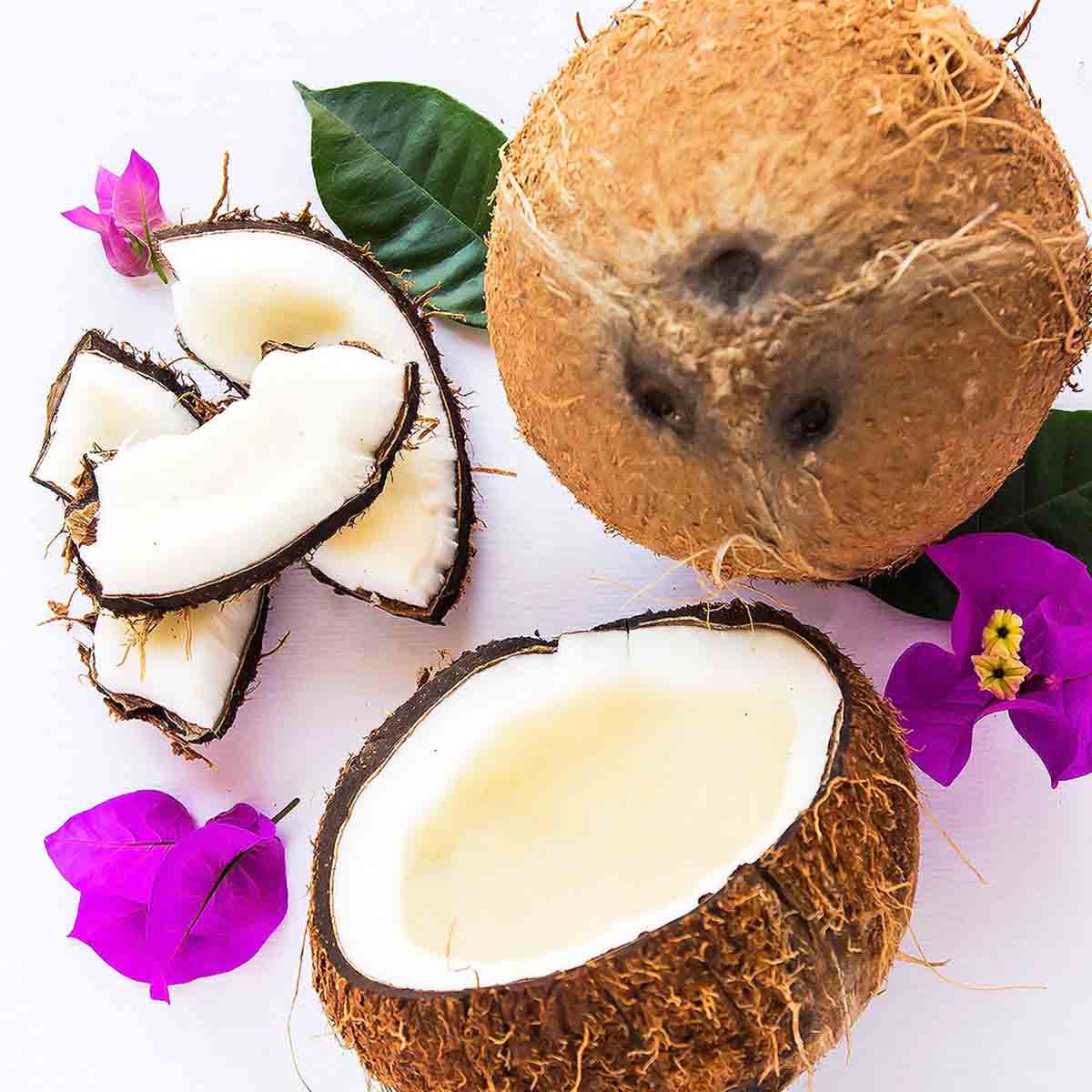 Pooja Coconut for Temple Rituals & Spiritual Offerings