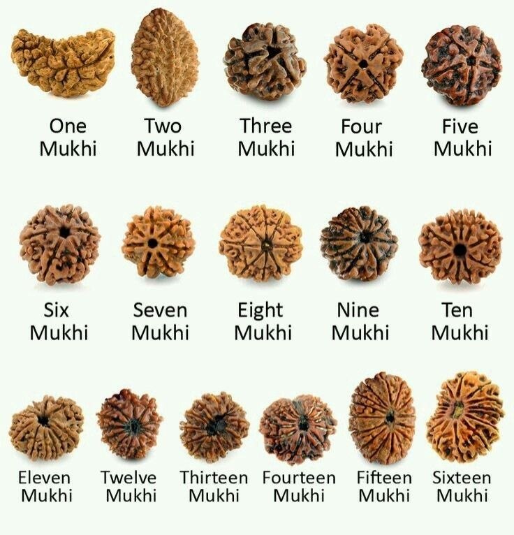 🕉️ 9 Face Rudraksha Bead – Nepal Rudraksha