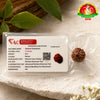 10 Mukhi Original Certified Nepal Rudraksha