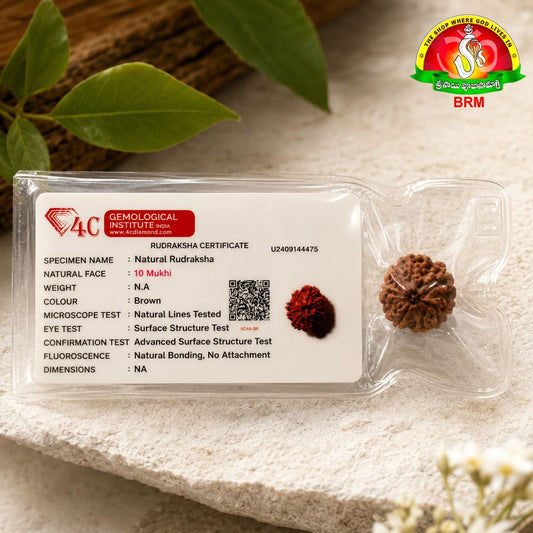 10 Mukhi Original Certified Nepal Rudraksha