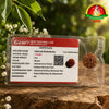 7 Mukhi Rudraksha | Original Nepal Rudraksha Bead