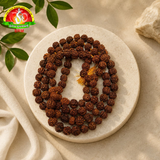 Original 5face  Rudraksha Mala 108 Beads 12mm Certified