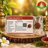 4 Mukhi Rudraksha  | Original Nepal Rudraksha Bead