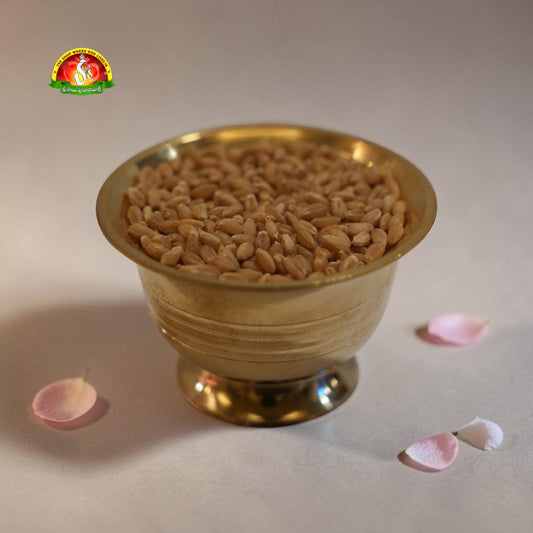 Premium Godhumalu (Wheat Grains / Whole Wheat) – Pure for Pooja & Daily Use