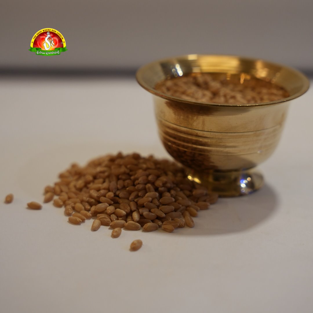 Premium Godhumalu (Wheat Grains / Whole Wheat) – Pure for Pooja & Daily Use