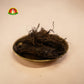 Purnahuti Samagri for Homa & Yagna – Complete Sacred Offering Kit