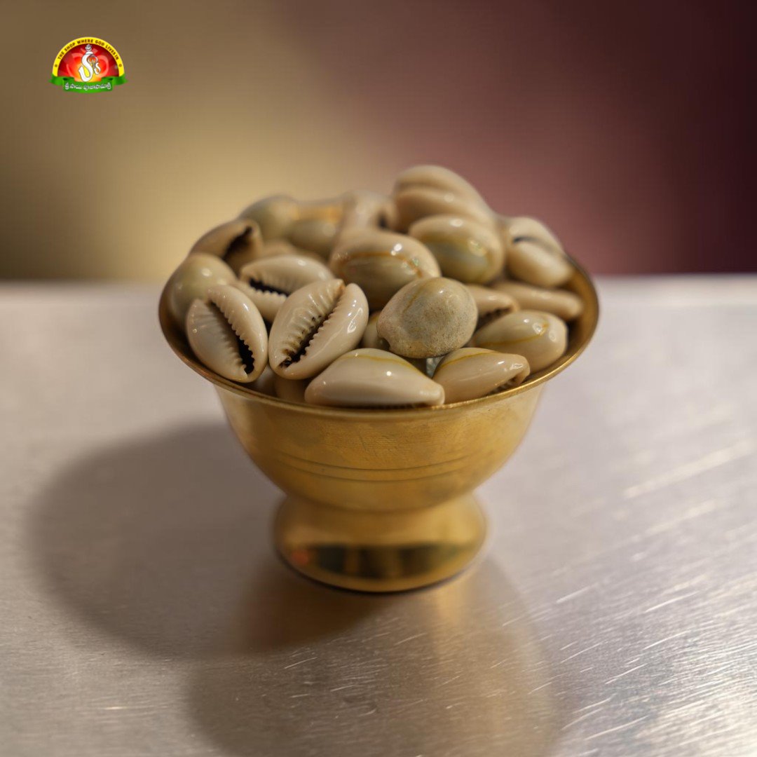 Original Lakshmi Gavvalu for Lakshmi Pooja & Festivals