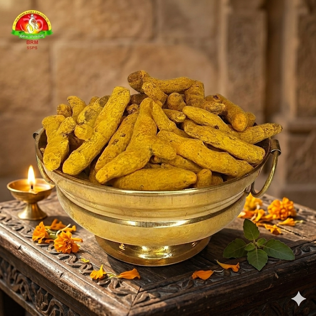 Pasupu Kommulu (Whole Turmeric Sticks) – Pure & Traditional for Pooja Rituals