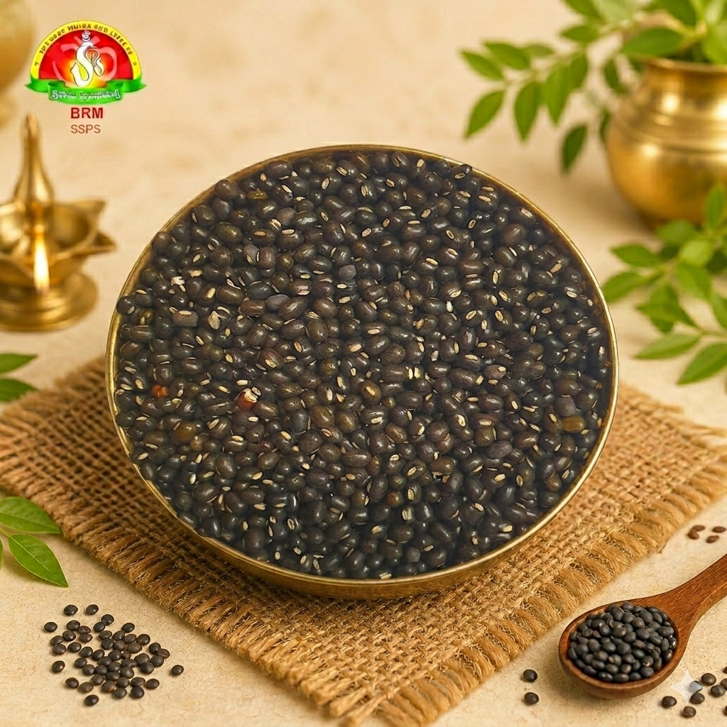 Premium Minumulu (Urad Dal / Black Gram) – Pure for Pooja & Cooking