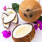 Pooja Coconut for Temple Rituals & Spiritual Offerings