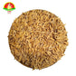 Pure Vadlu (Paddy / Unhusked Rice) for Pooja – Traditional & Auspicious