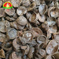 Premium Vakkalu (Betel Nut / Supari) for Pooja – Pure & Selected Quality