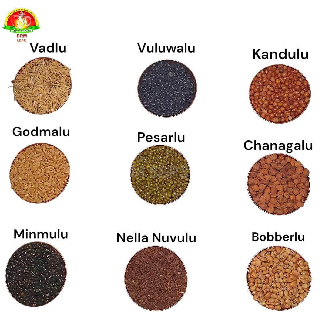 Navadhanyalu / Navdhanya / Navadhanyam – 9 Sacred Grains for Navagraha Pooja