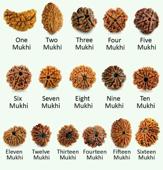 🕉️ 9 Face Rudraksha Bead – Nepal Rudraksha