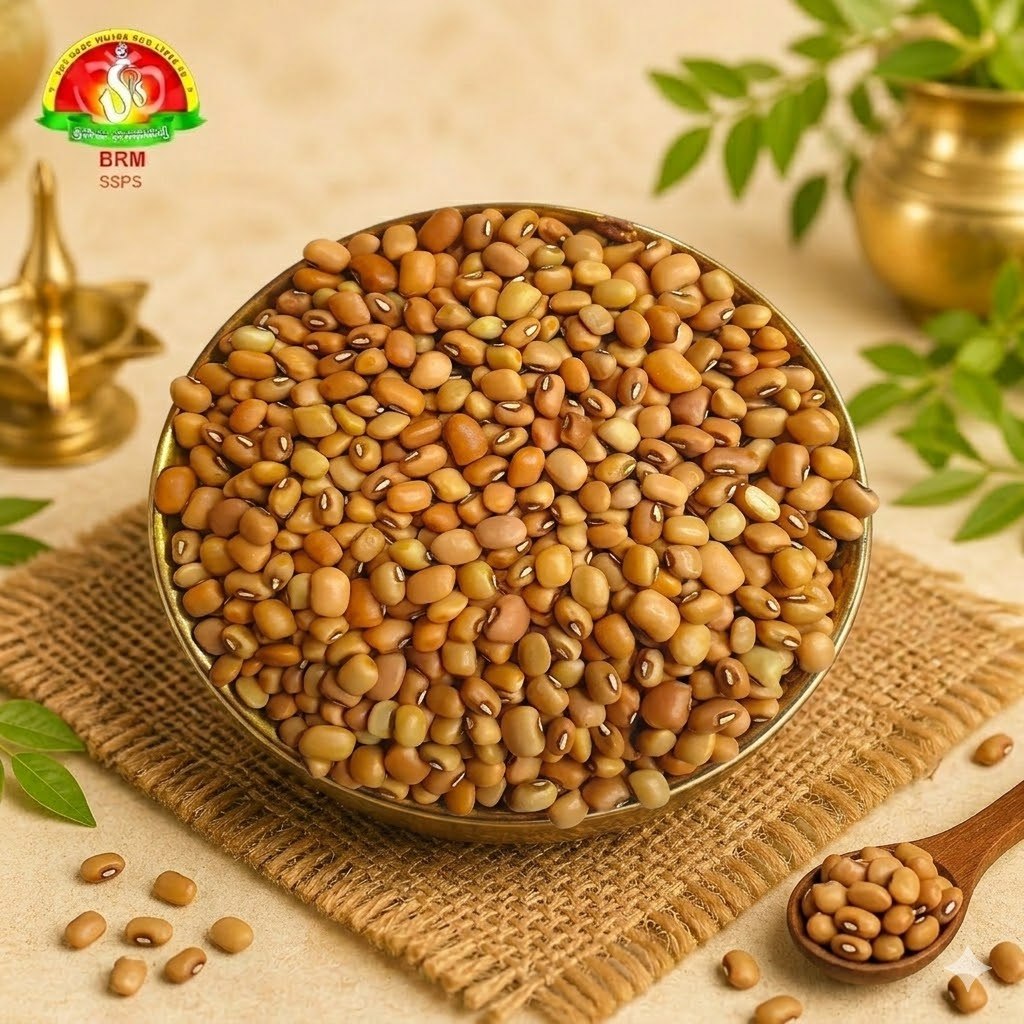 Premium Bobbarlu (Lobia) – Pure for Pooja & Cooking