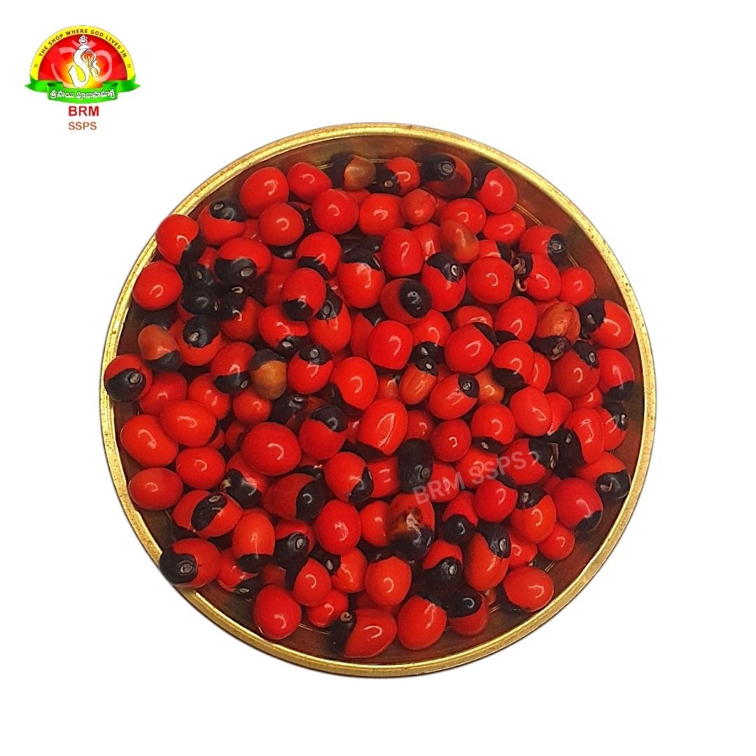Premium Guri Ginjalu for Spiritual Rituals