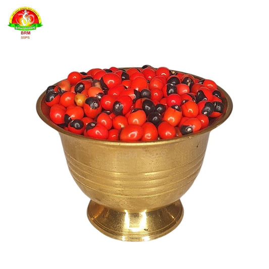 Premium Guri Ginjalu for Spiritual Rituals