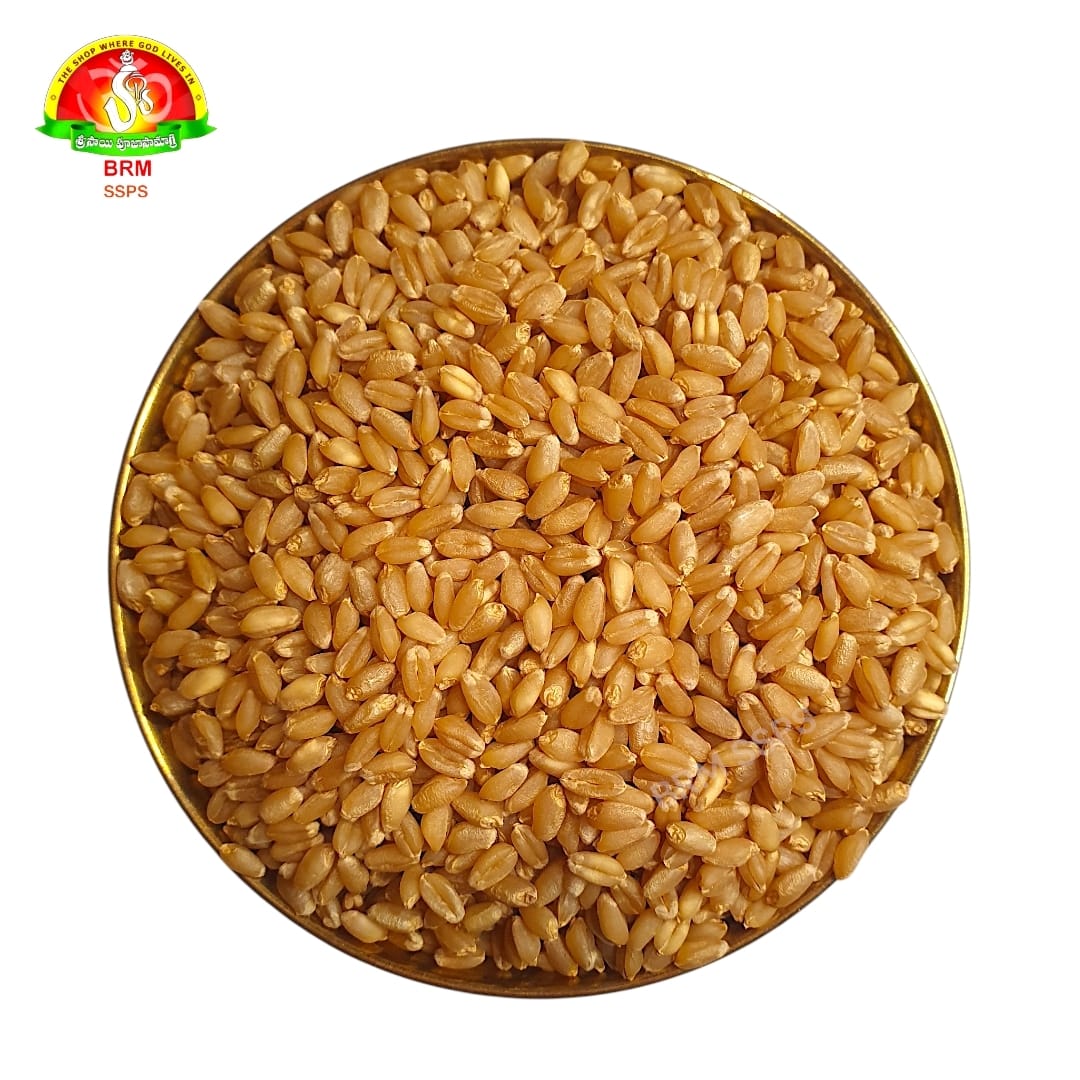 Premium Godhumalu (Wheat Grains / Whole Wheat) – Pure for Pooja & Daily Use