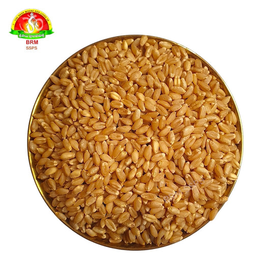 Premium Godhumalu (Wheat Grains / Whole Wheat) – Pure for Pooja & Daily Use